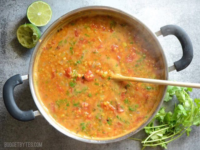 Mexican Red Lentil Stew
